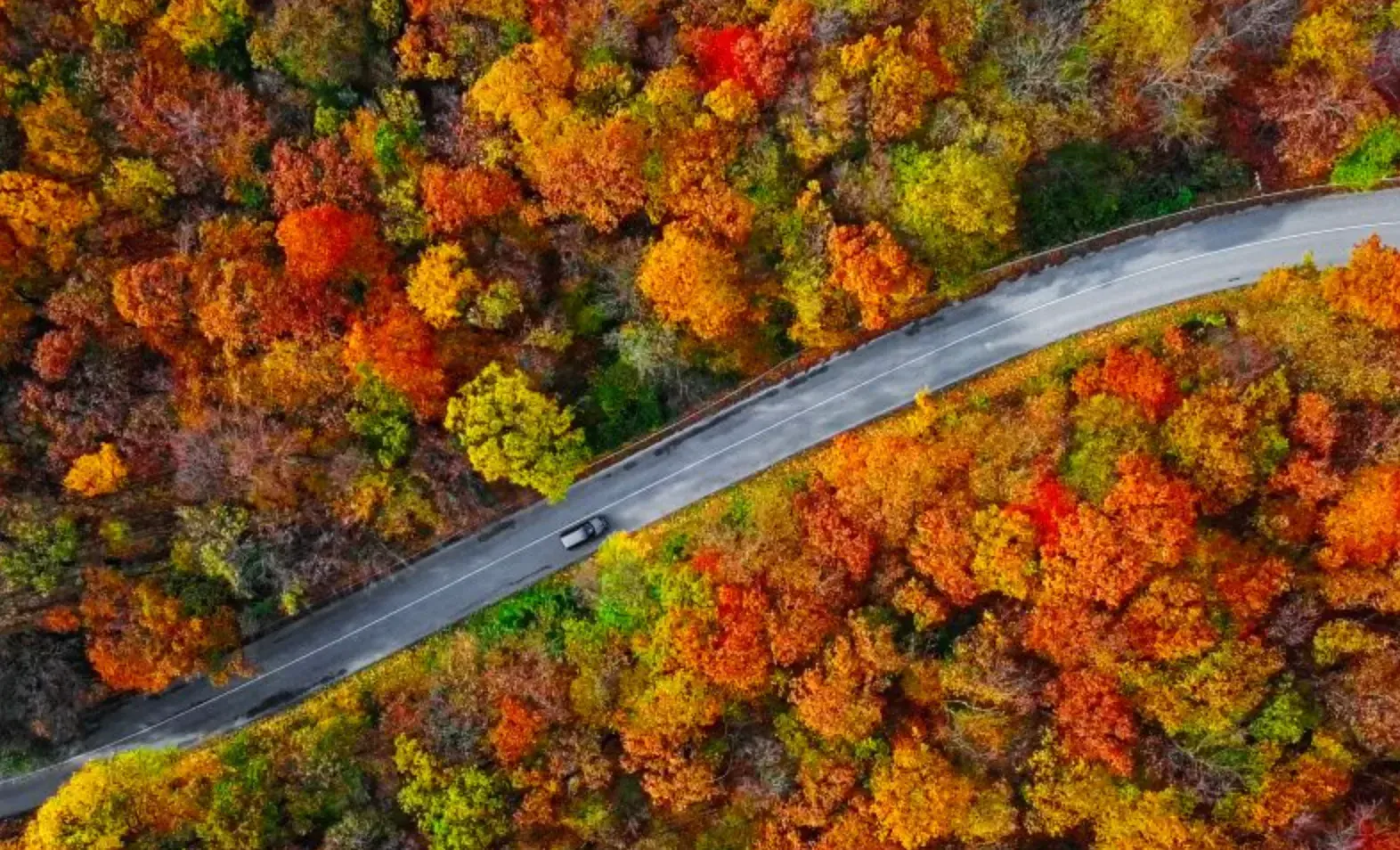 X7suGeLXeML47Xu8ZdEiopM79Q9ctW-metaMTU3Mi53ZWJw-